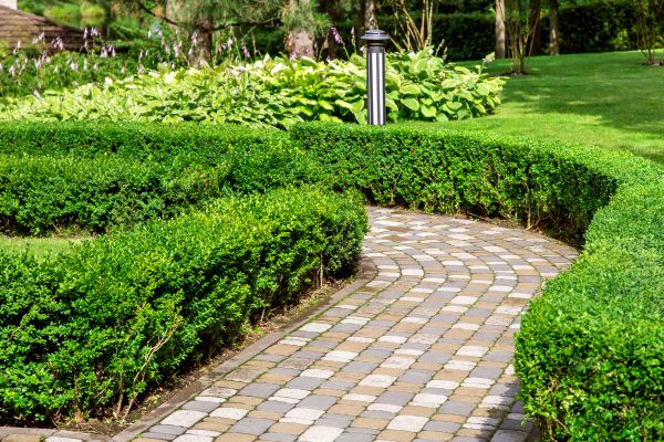 Paved Landscaping in Upland