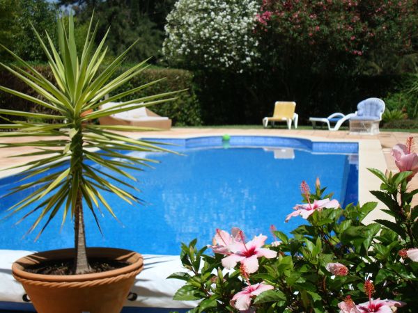 Pool Terrace Renovation in Upland
